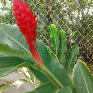 Meet your Posher, Esther